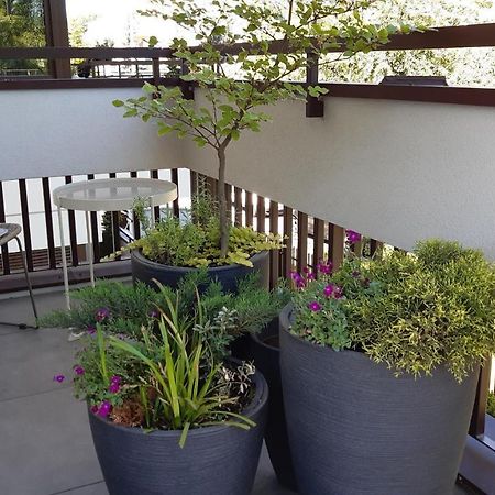 4Four Apartment, Villa Moderno, Taras, Parking Podziemny ทอรูน ภายนอก รูปภาพ